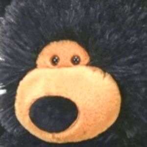 🍎 Coming Soon New